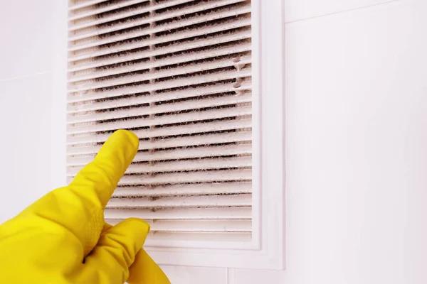Enhance Indoor Comfort Through Duct Cleaning Spring Hill