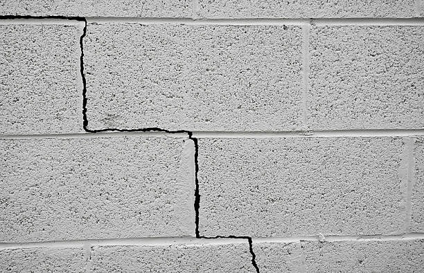 Complete Waterproofing for Basements Solutions for Every Home