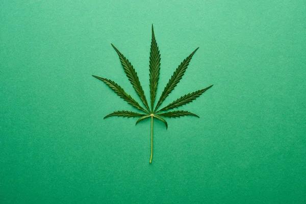 Understanding Quality and Transparency in Hemp Products