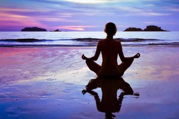 A Closer Look at Wellness Services from Nova Wellness