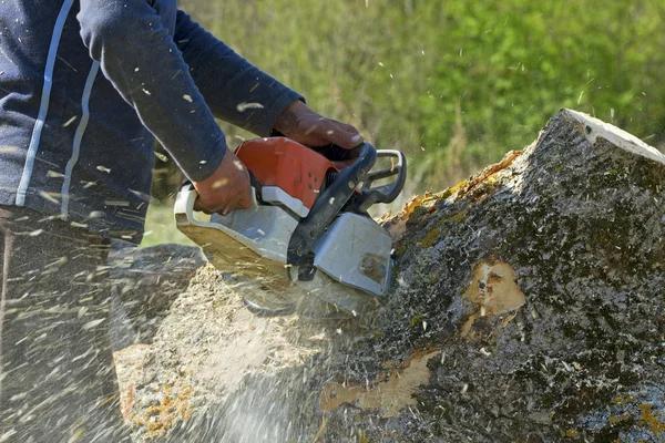 Safe Property Maintenance With Expert tree cutting service