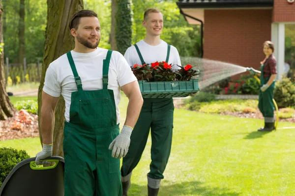 Why Regular Landscaping Services Matter for Property Maintenance